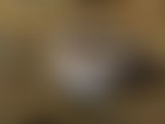 Rencontre magique...