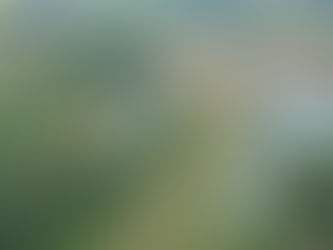 Jeudi 11 octobre: Journée de formations