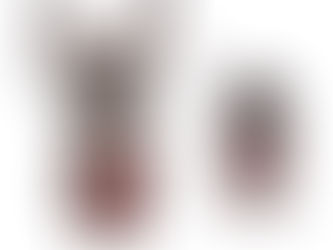 Le Lucane, le gladiateur de nos forêts