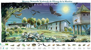 Poster RNN Mazière
