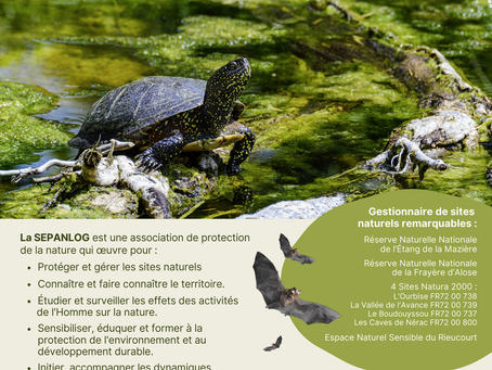 Nouveau Flyer SEPANLOG