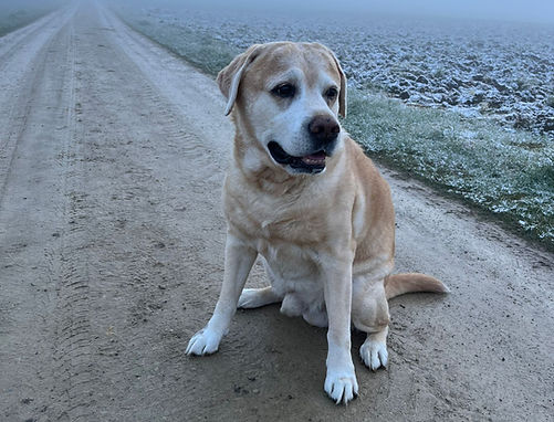 Jericho 2026 04 - 2.jpeg