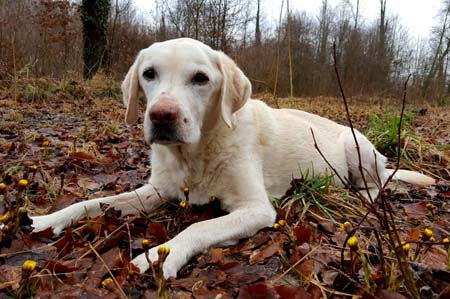 Himi 032016 12 Jahre 9.5 Monate.jpg