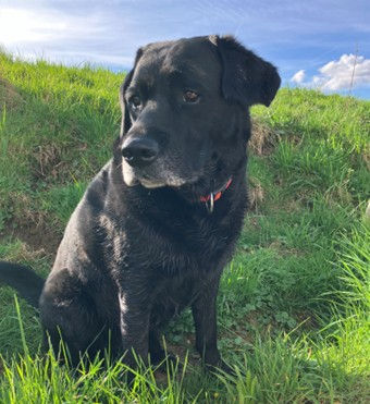 Göldi 2025 12 - 2.jpg