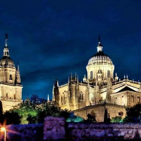 Old Cathedral Salamanca
