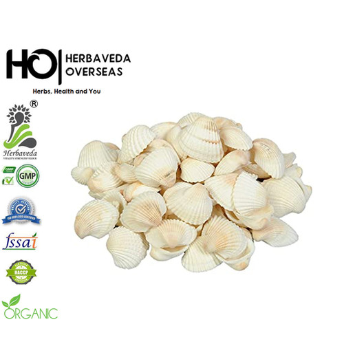 SEEP/SEASHELLS - MOLLUSC SHELLS | HERBAVEDA OVERSEAS