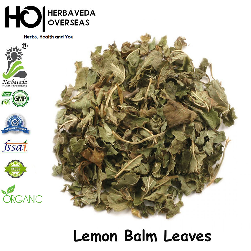 Lemon Balm Leaves