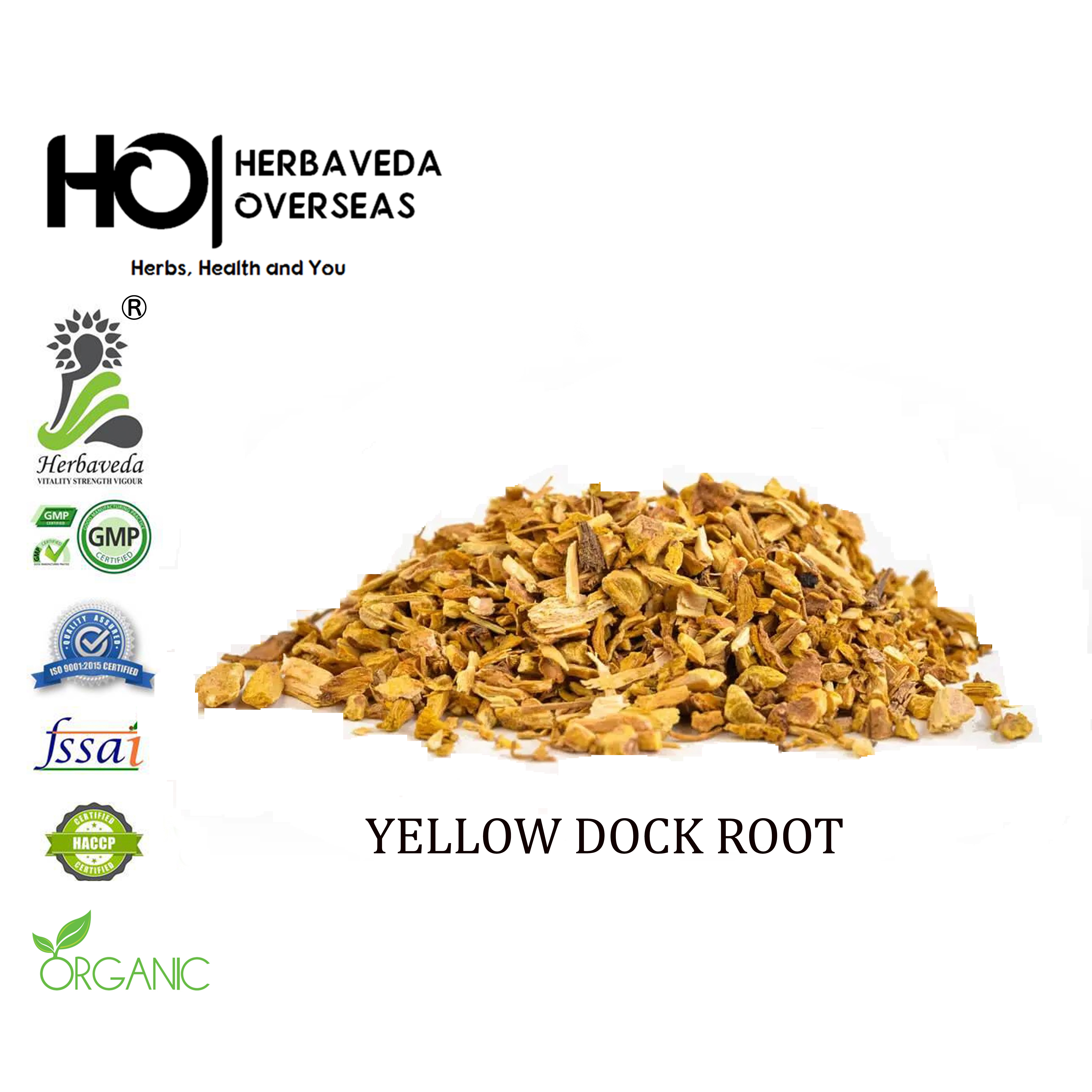 YELLOW DOCK ROOT