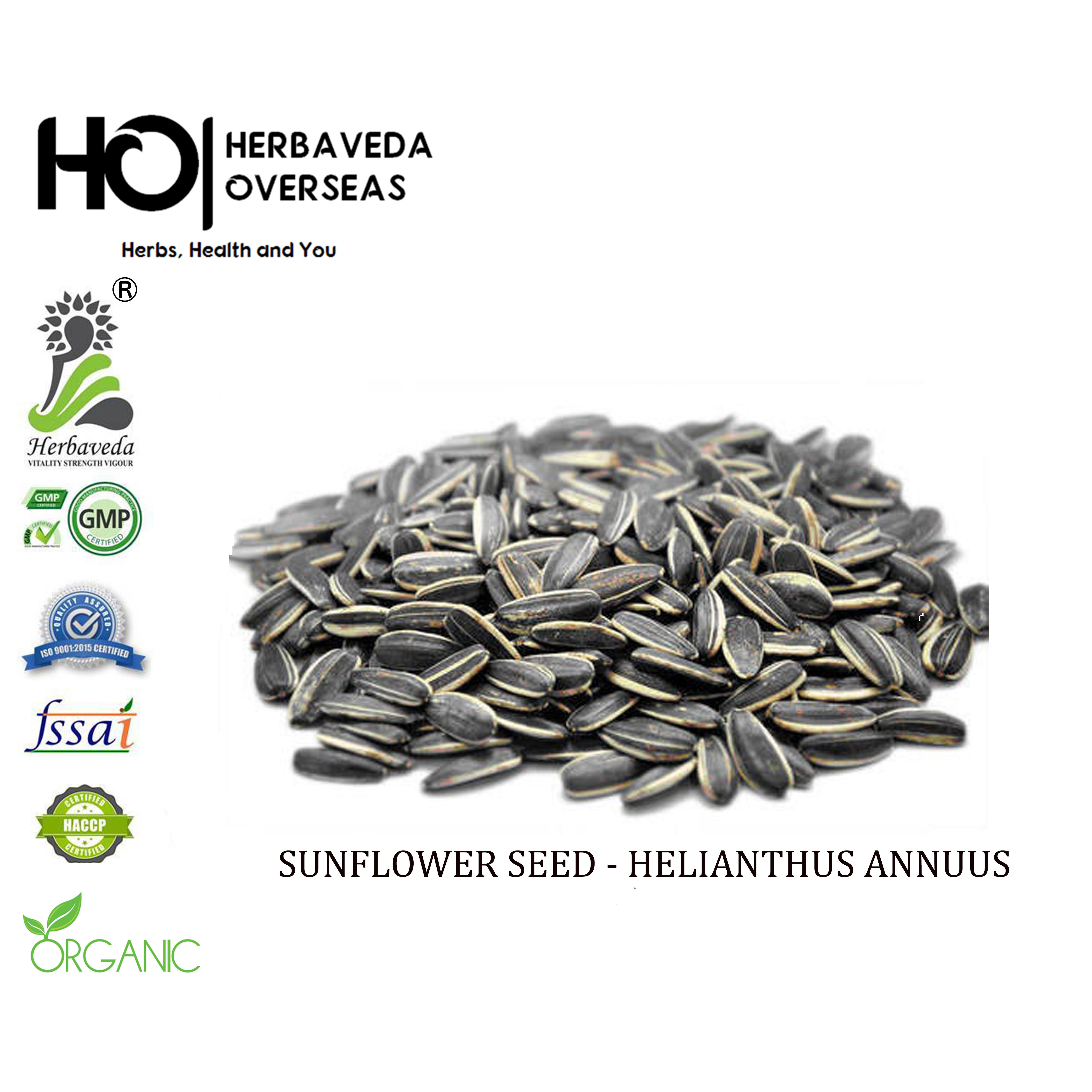 SUNFLOWER SEED-HELIANTHUS ANNUUS
