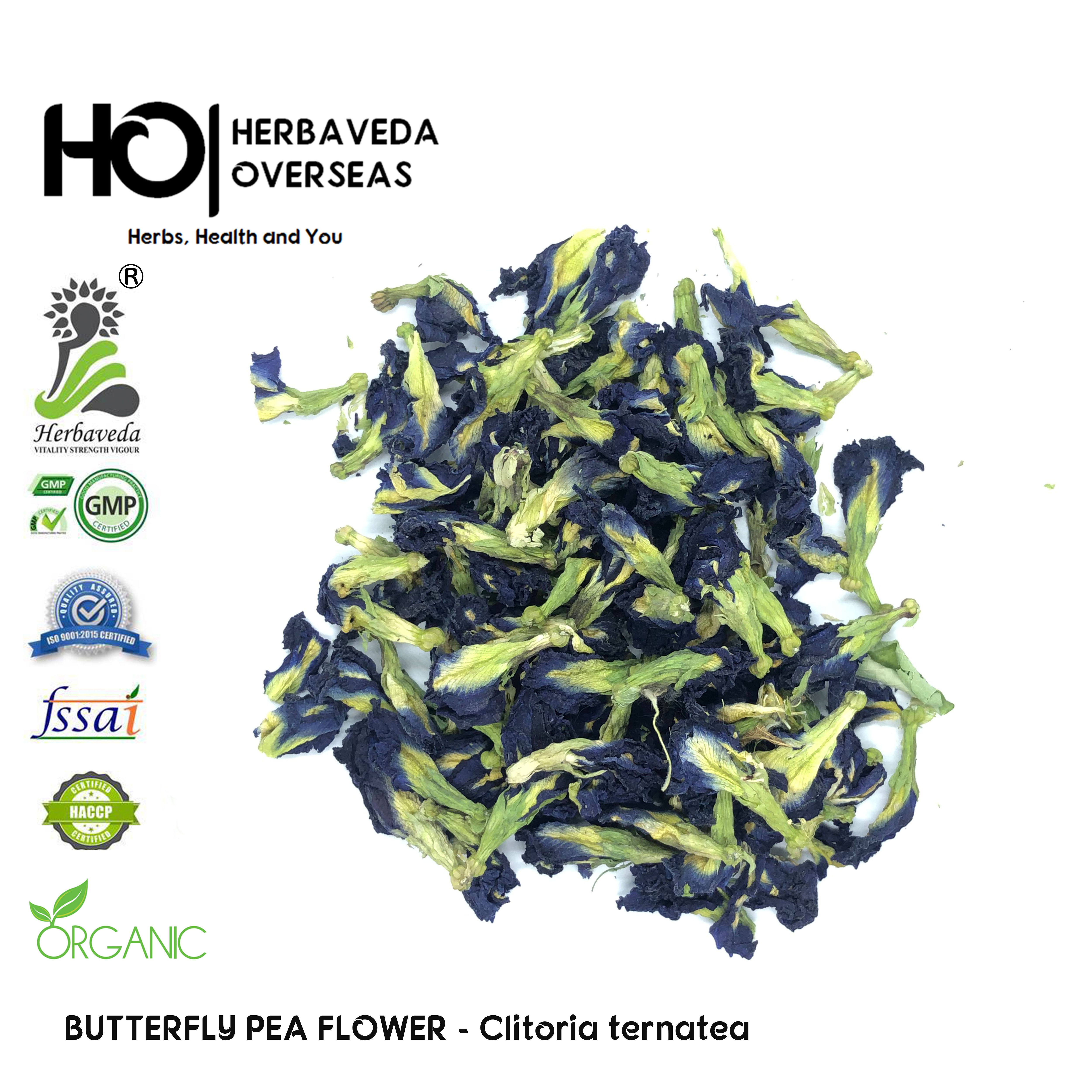 Butterfly Blue Pea Flower or Blue tea