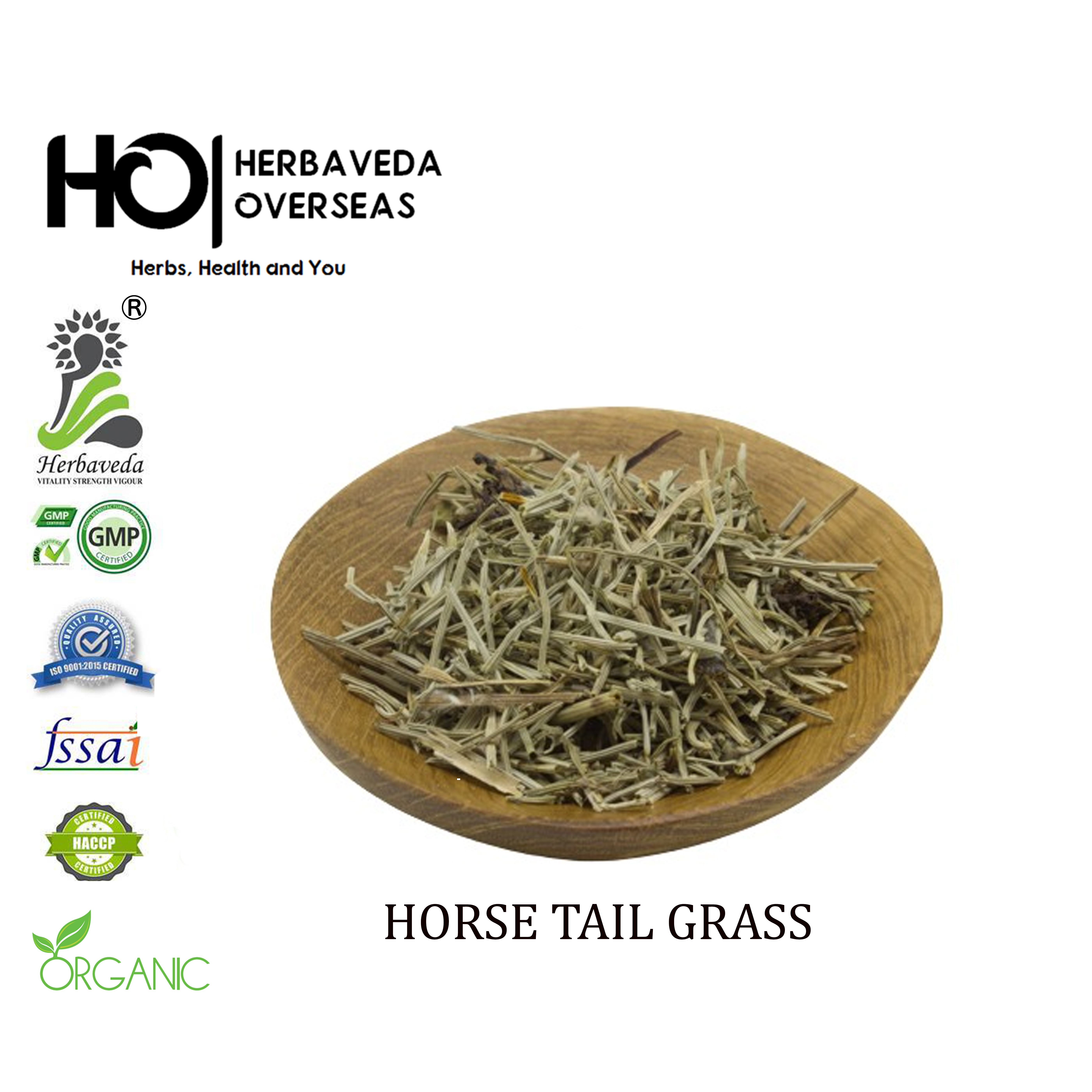 HORSE TAIL GRASS