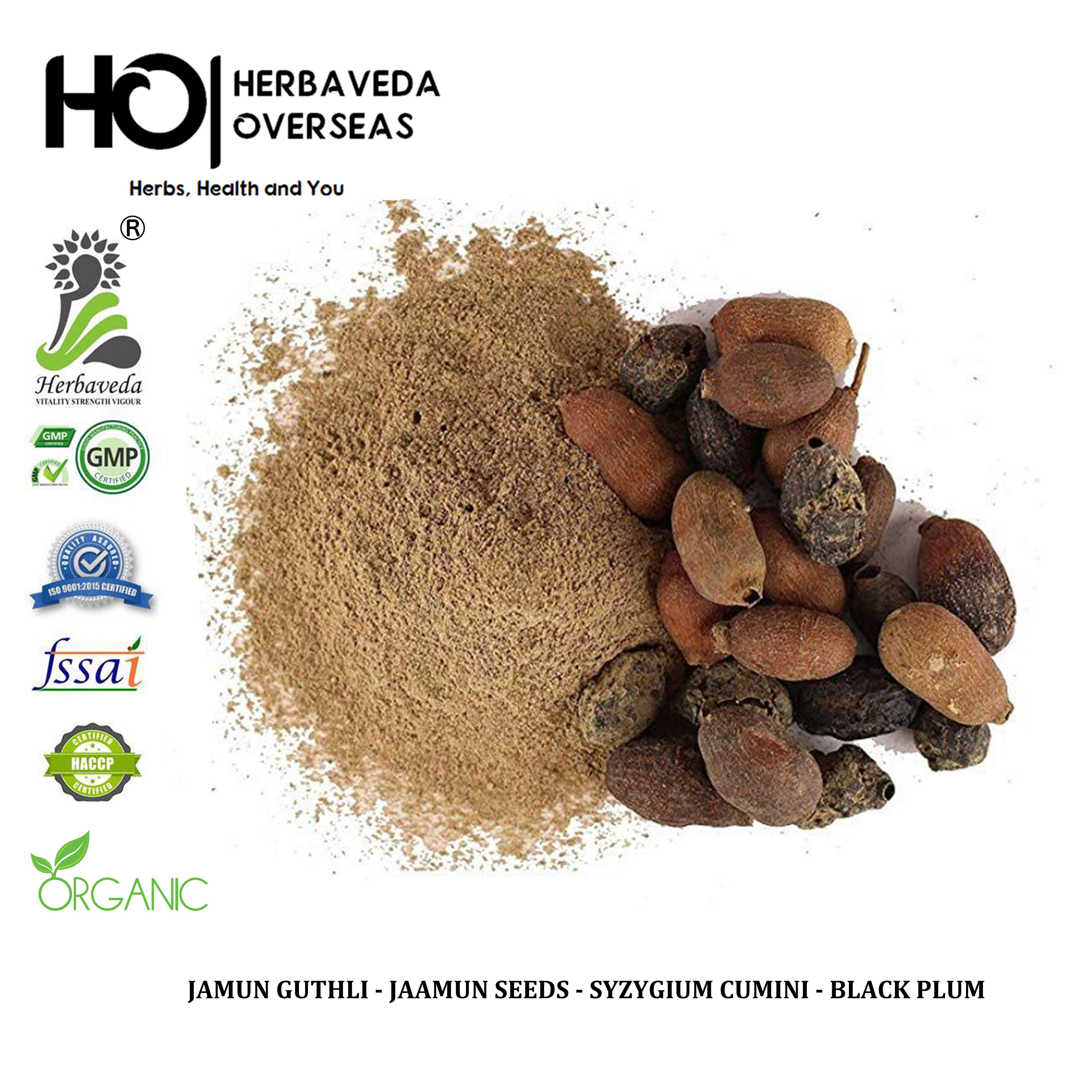 Jamun Guthli -Jaamun Seeds - Syzygium Cumini - Black Plum