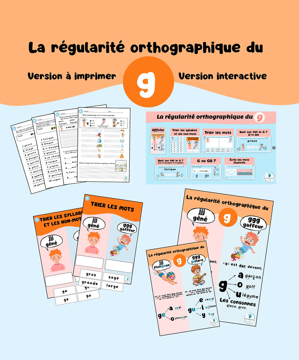 Miniature : Ensemble - régularités orthographiques