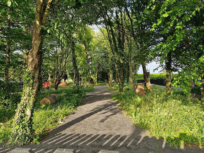 sensory garden.jpg