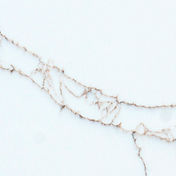 Кварц, искусственный камень, кварцит Авант 7470 Калакатта Беарн