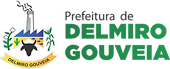 LOGO DELMIRO.png