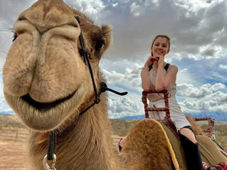 Troque o Neon por um Oásis de Aventura Exótica!