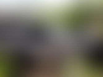 Carro capota em estrada de acesso a povoado em Delmiro Gouveia