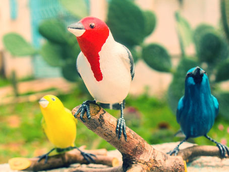 Mãos que fazem arte