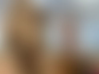 Swap the Neon for an Oasis of Exotic Adventure!