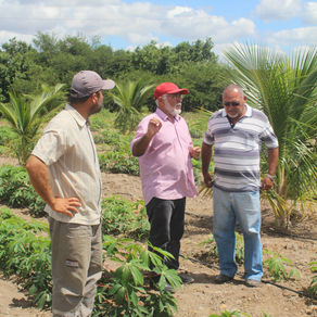 MAIS RENDA E QUALIDADE DE VIDA PARA O PEQUENO PRODUTOR RURAL