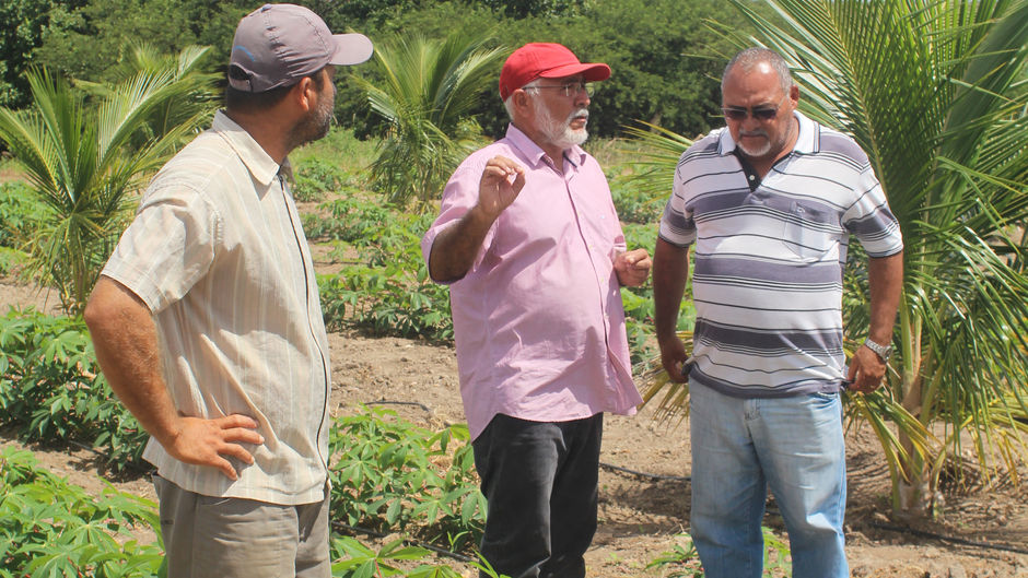 MAIS RENDA E QUALIDADE DE VIDA PARA O PEQUENO PRODUTOR RURAL