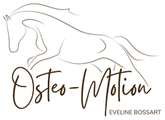 Logo Osteo-Motion