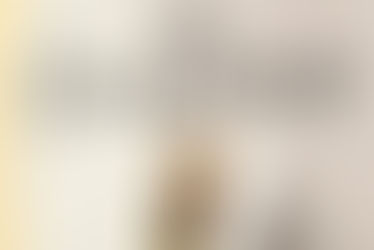 Recognition of bereavement in novels: 'The Goldfinch'