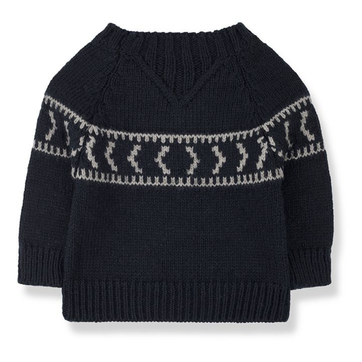 1 +in the Family - Sweater