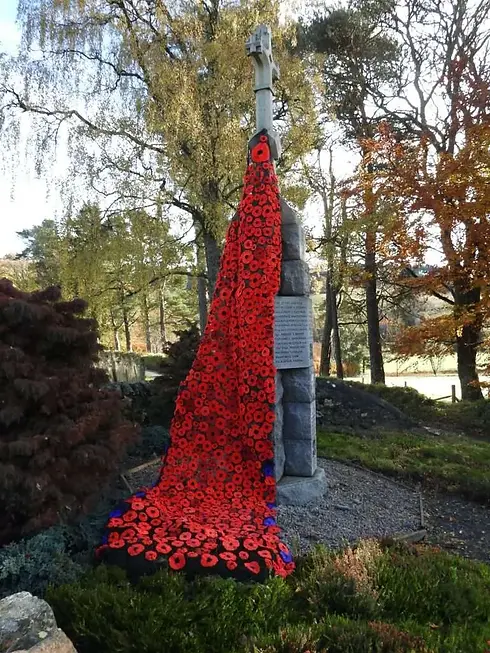 WM-JS-768x102Glsss Poppies.webp