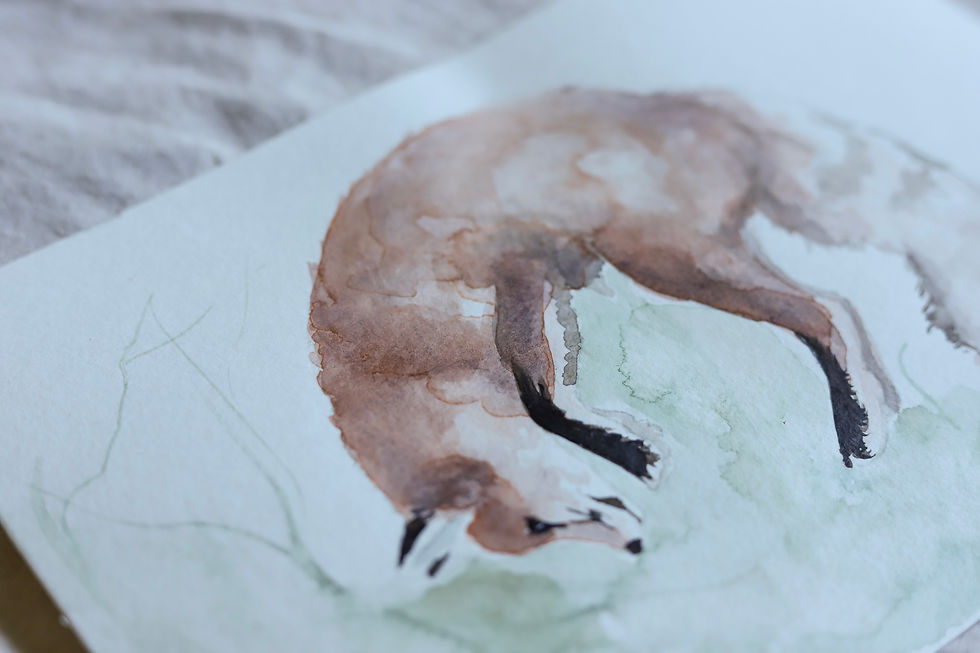Thumbnail: Curled Fox