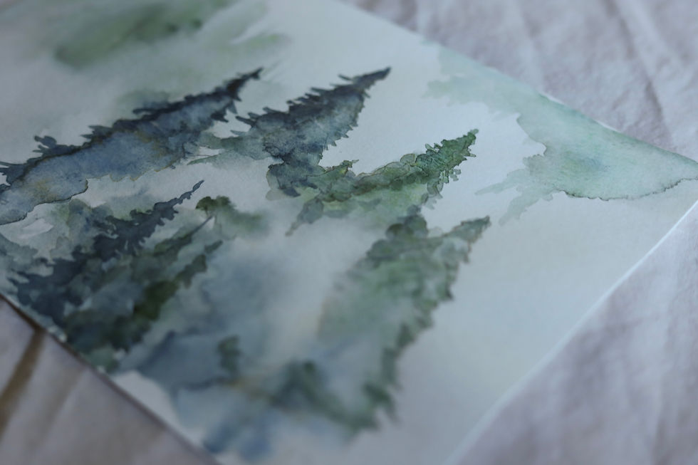 Thumbnail: Among the Evergreens