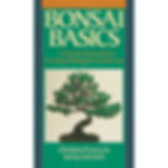 Bonsai Basics: A Step-By-Step Guide