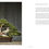 Thumbnail: Little Book of Bonsai