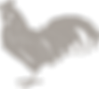 Coq