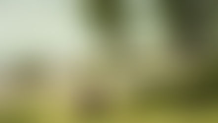 Finding Serenity in the Chaos: A Guide to Mindfulness and Meditation for Stress Relief