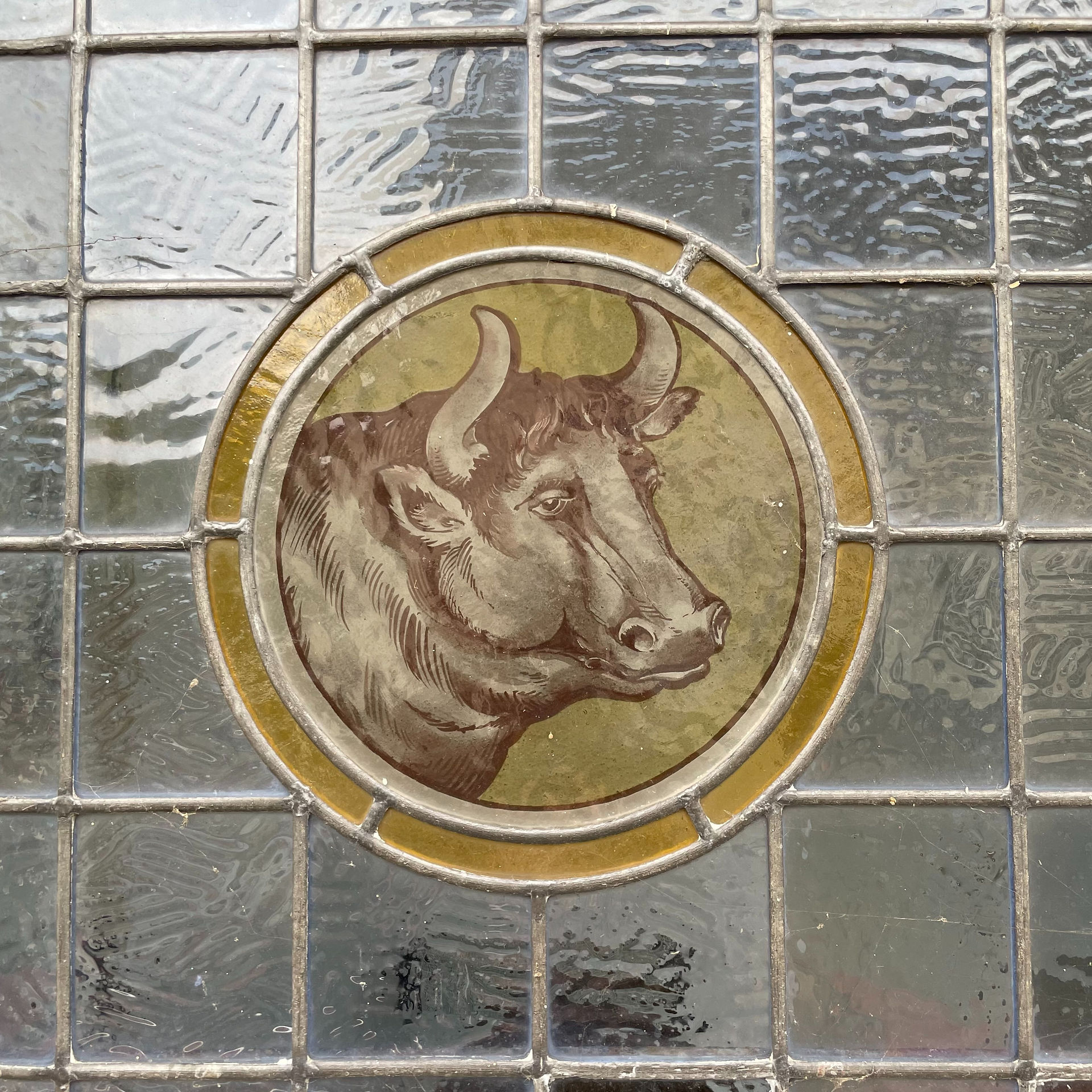 A old painted window of a bull