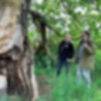 David Alderman and George Agnew looking at an ancient oak