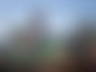 Vale anuncia Trem de Férias