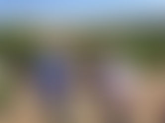 Conhecimento que gera renda na fruticultura