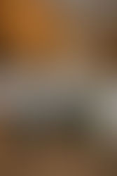 Patrimar lança o Signature