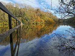 nature connection