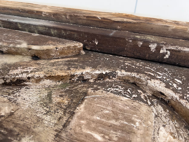The base of a dried experimental terrarium