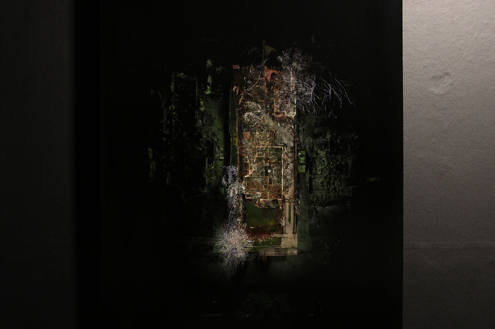 Home 1: LiDAR scan orthographic image