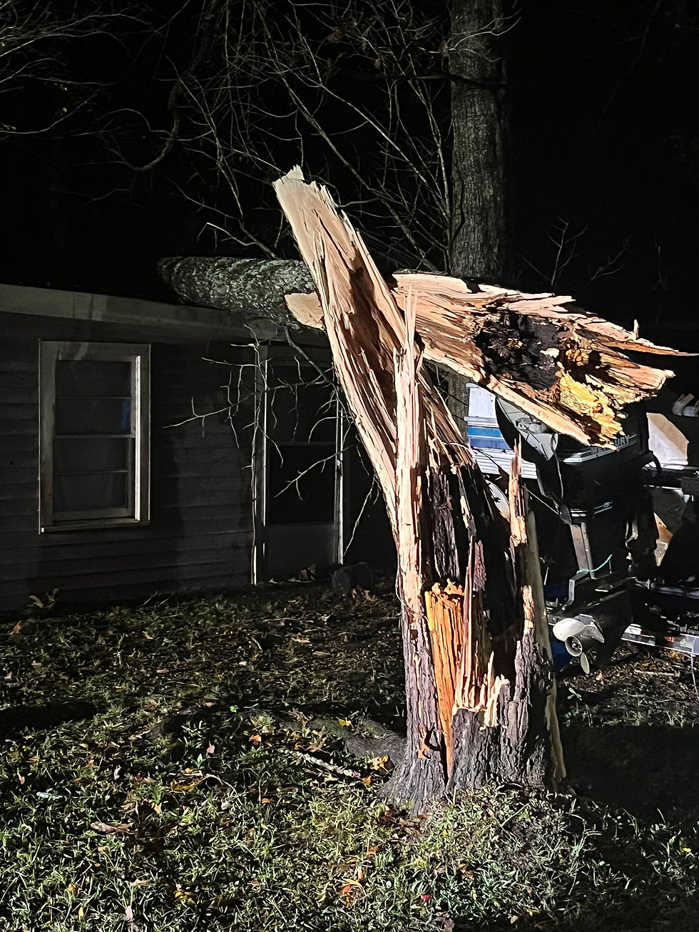 FiyvYFWWAAAPtdV (1).jpeg