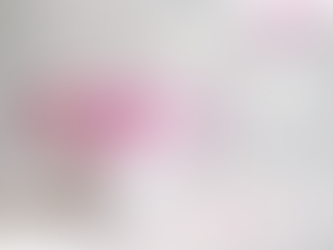 本年もよろしくお願いいたします