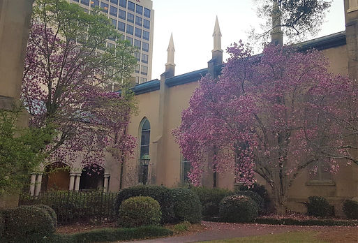 Macon.jpg