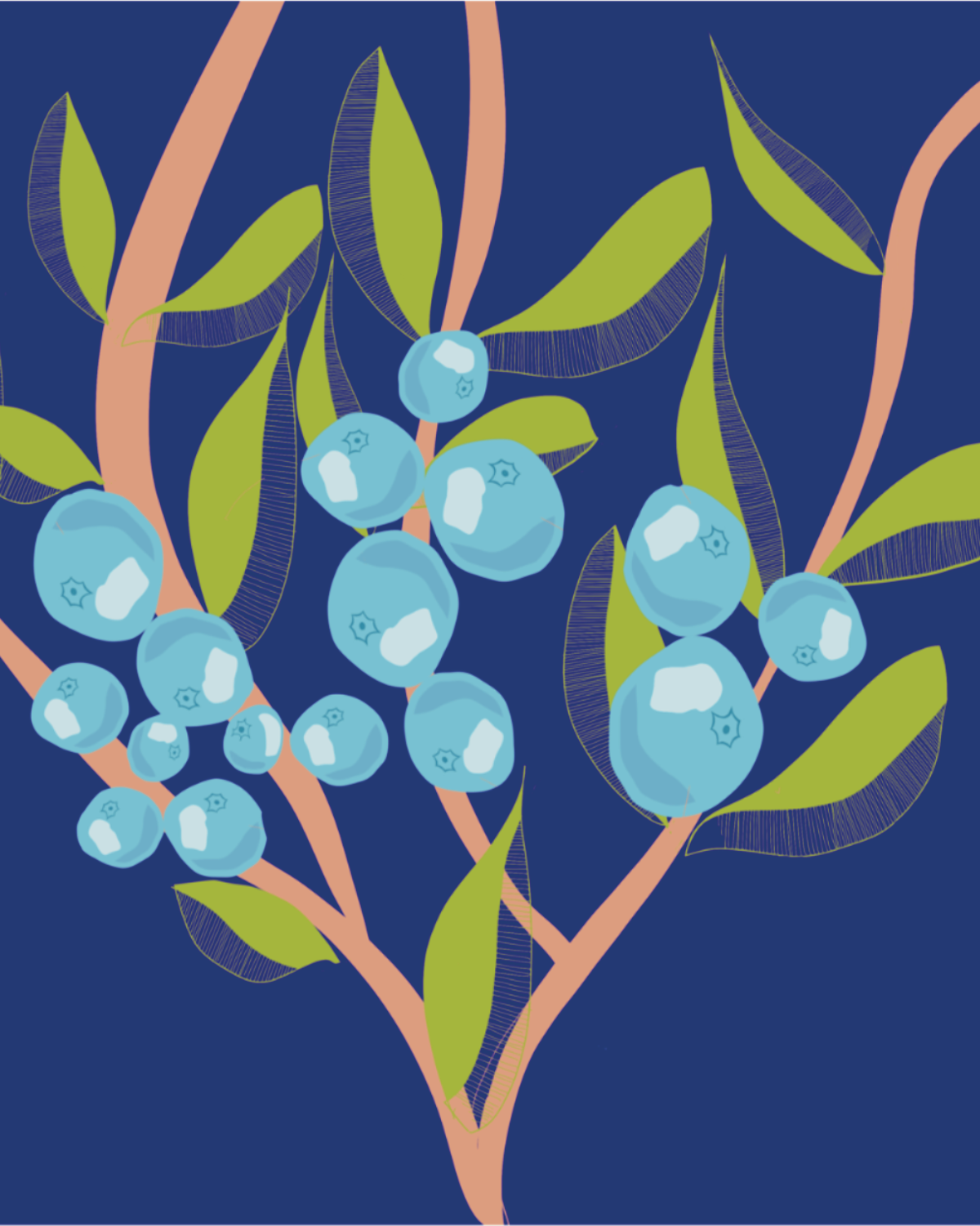 Blueberries