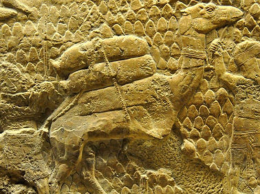 Assyrian Wall.jpg