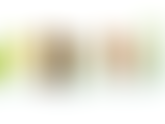 The Role of Nootropics and Adaptogens in a Holistic Lifestyle